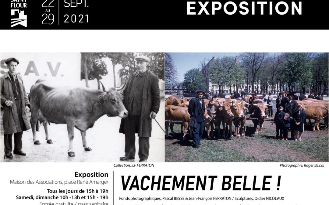 EXPOSITION – VACHEMENT BELLE !