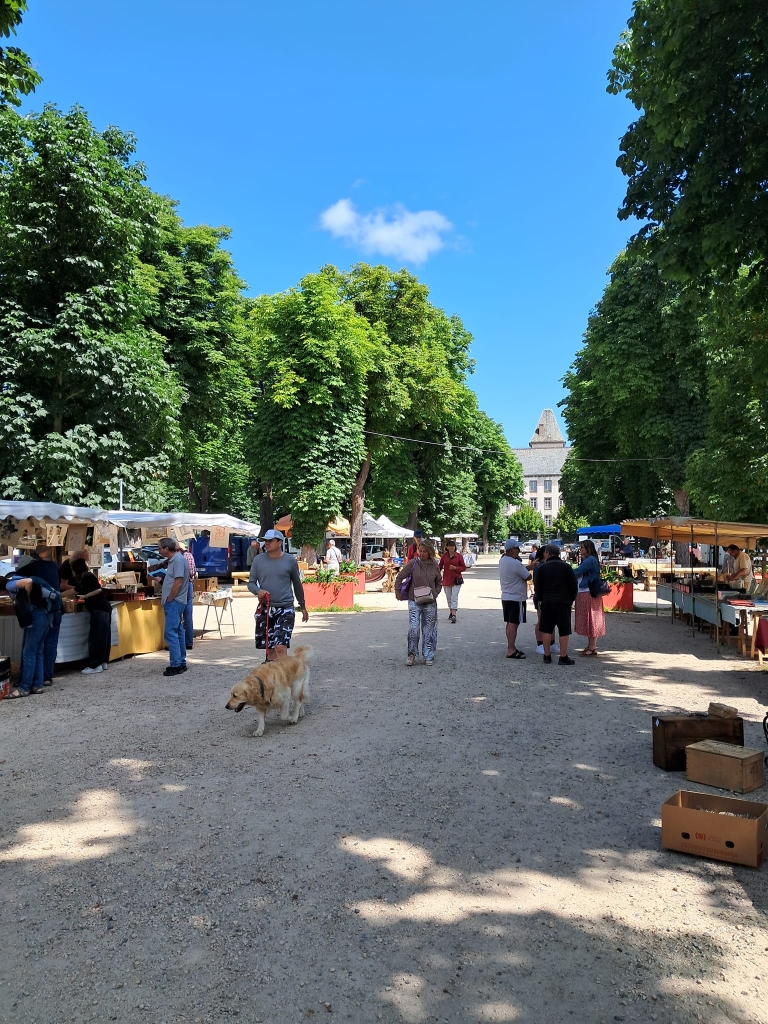 BROCANTE ETE 2024 – ALLEES POMPIDOU (5)